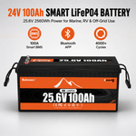 BUKNUWO 24V 100Ah Bluetooth LiFePO4 Battery with 100A Smart BMS