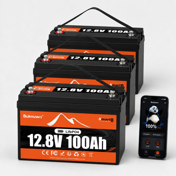 BUKNUWO 12V 100Ah Bluetooth LiFePO4 Battery with 100A Smart BMS