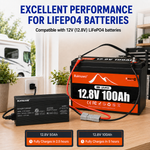 BUKNUWO LiFePO4 Battery Charger – 14.6V 20A CC/CV Charger with Anderson Connector