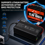 BUKNUWO LiFePO4 Battery Charger – 14.6V 20A CC/CV Charger with Anderson Connector