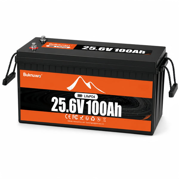 BUKNUWO 24V 100Ah LiFePO4 Battery with 100A BMS