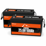 BUKNUWO 24V 100Ah LiFePO4 Battery with 100A BMS