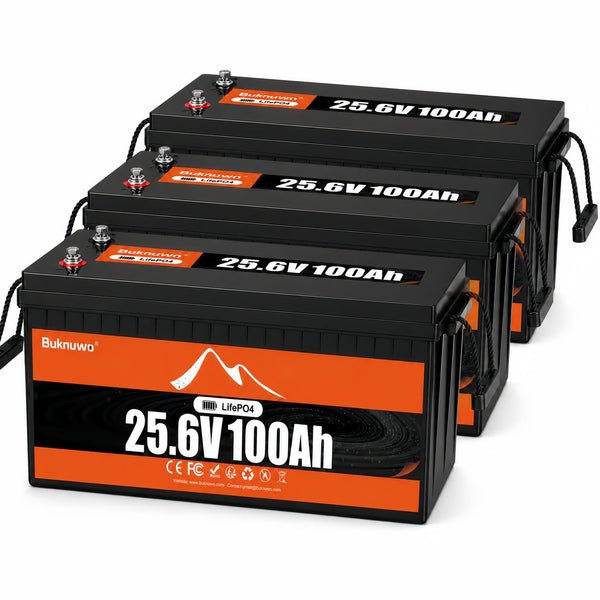 BUKNUWO 24V 100Ah LiFePO4 Battery with 100A BMS