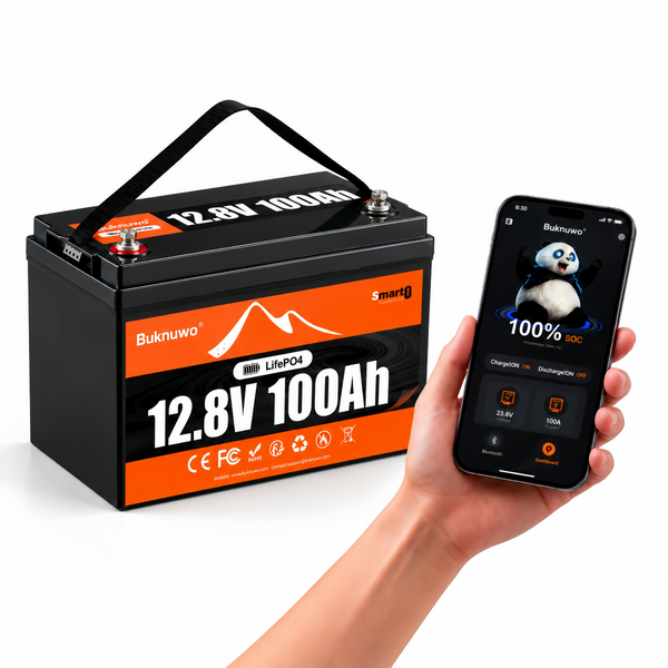 BUKNUWO 12V 100Ah Bluetooth LiFePO4 Battery with 100A Smart BMS