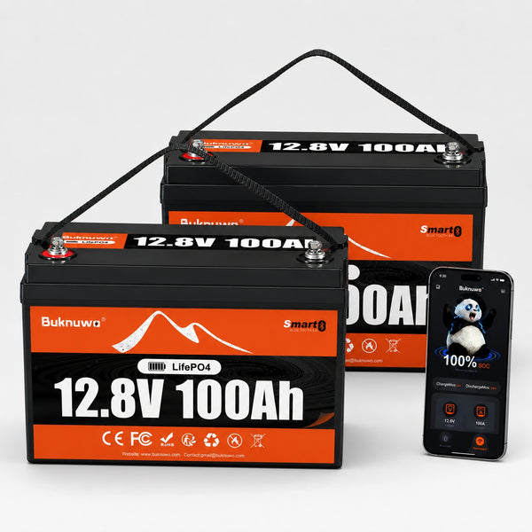 BUKNUWO 12V 100Ah Bluetooth LiFePO4 Battery with 100A Smart BMS