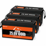 BUKNUWO 24V 100Ah LiFePO4 Battery with 100A BMS
