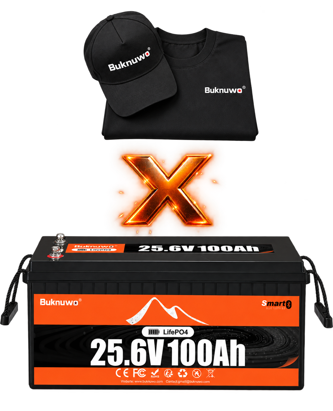 24V 100Ah BT × 1